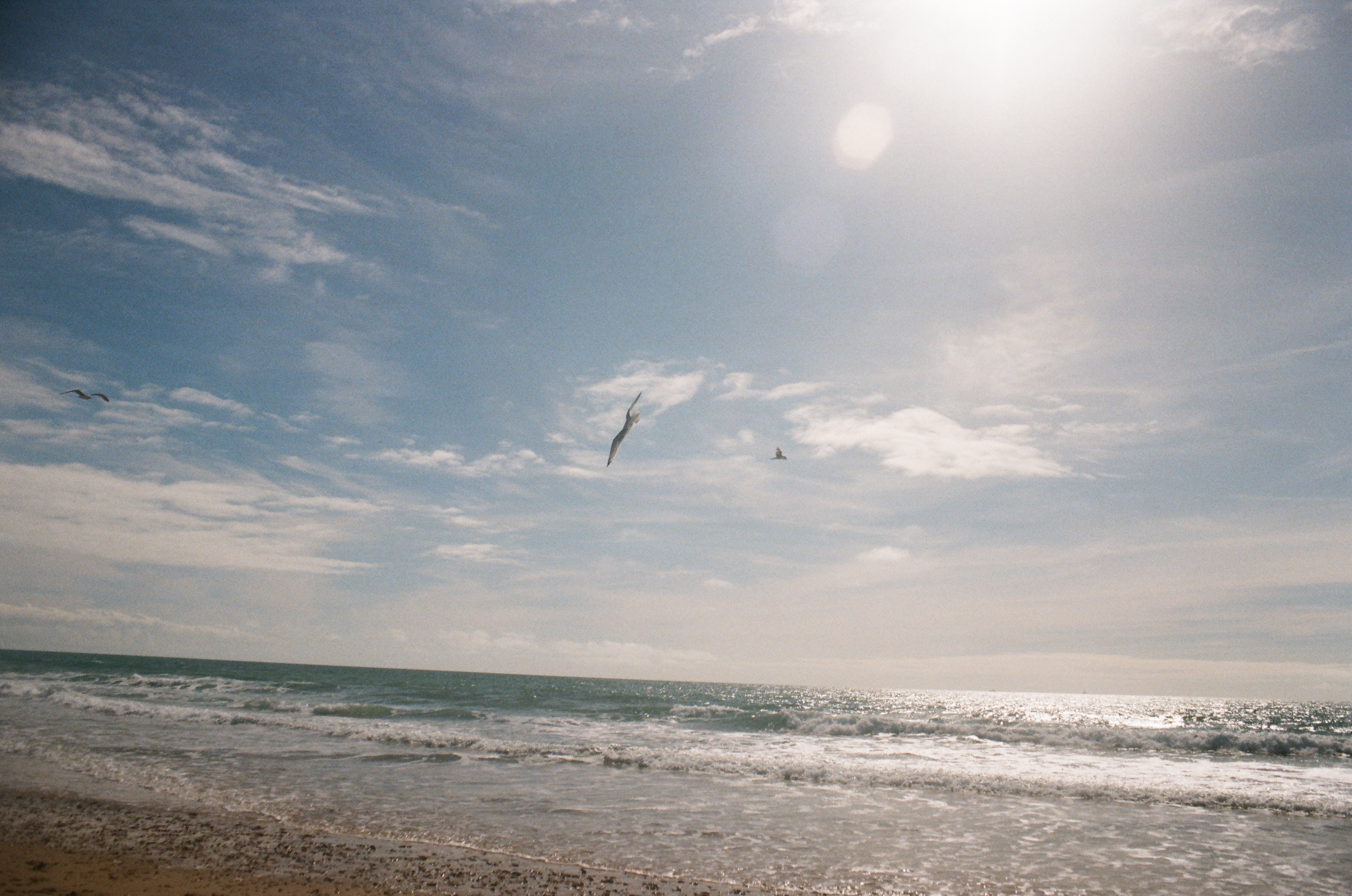 color-film - 26.JPG